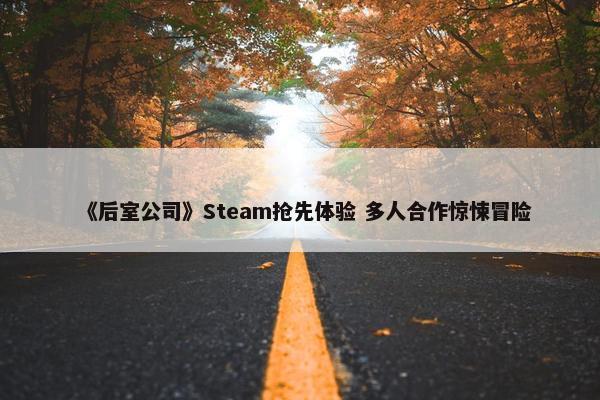 《后室公司》Steam抢先体验 多人合作惊悚冒险