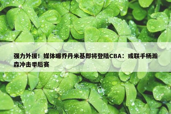 强力外援！媒体曝乔丹米基即将登陆CBA：或联手杨瀚森冲击季后赛