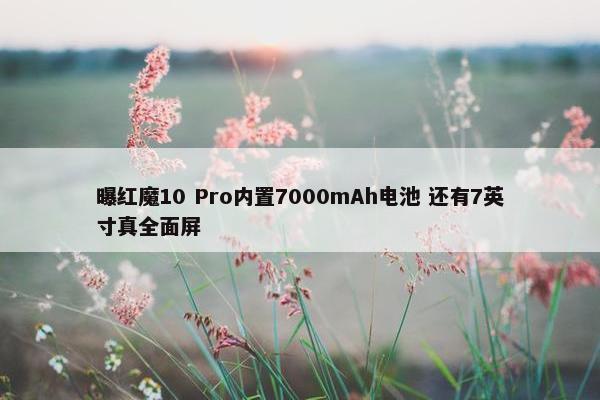 曝红魔10 Pro内置7000mAh电池 还有7英寸真全面屏