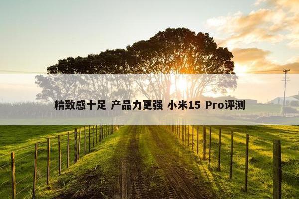 精致感十足 产品力更强 小米15 Pro评测