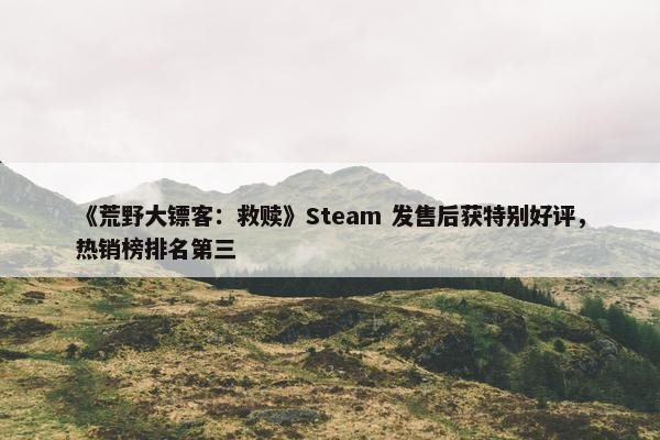 《荒野大镖客：救赎》Steam 发售后获特别好评，热销榜排名第三