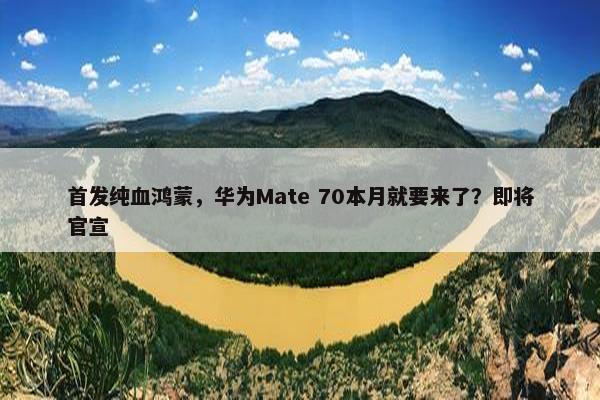 首发纯血鸿蒙，华为Mate 70本月就要来了？即将官宣