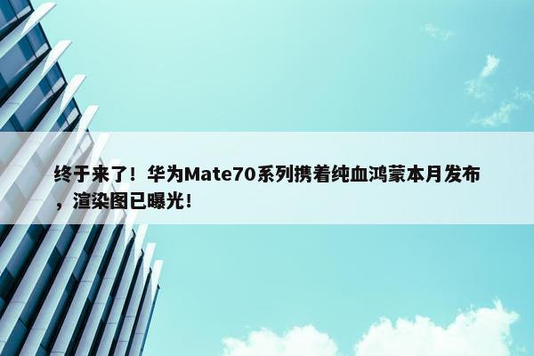 终于来了！华为Mate70系列携着纯血鸿蒙本月发布，渲染图已曝光！