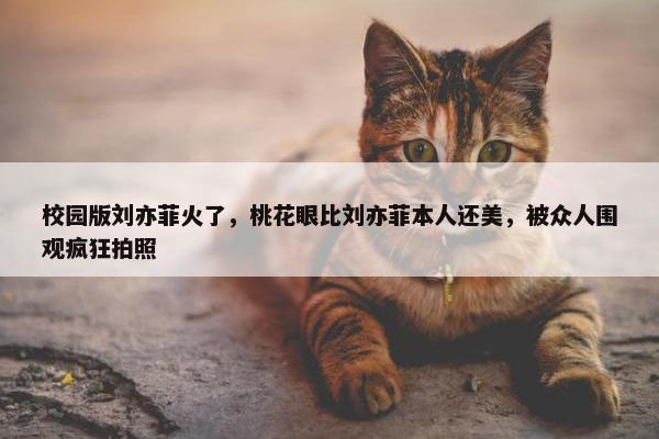 校园版刘亦菲火了，桃花眼比刘亦菲本人还美，被众人围观疯狂拍照